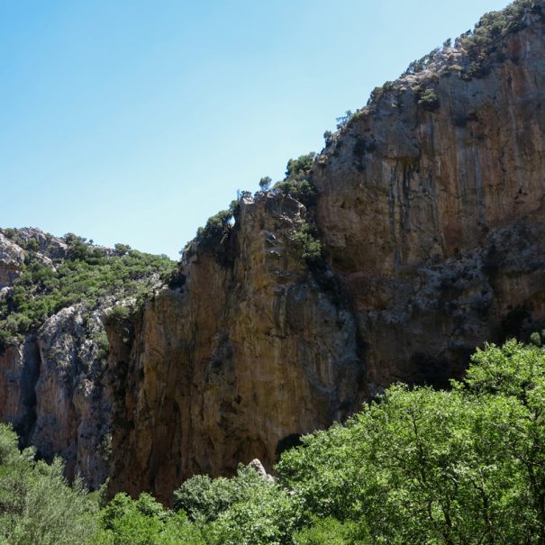 Gorge cliffs