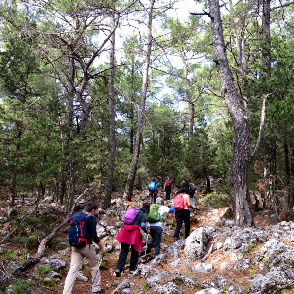 south crete trekking