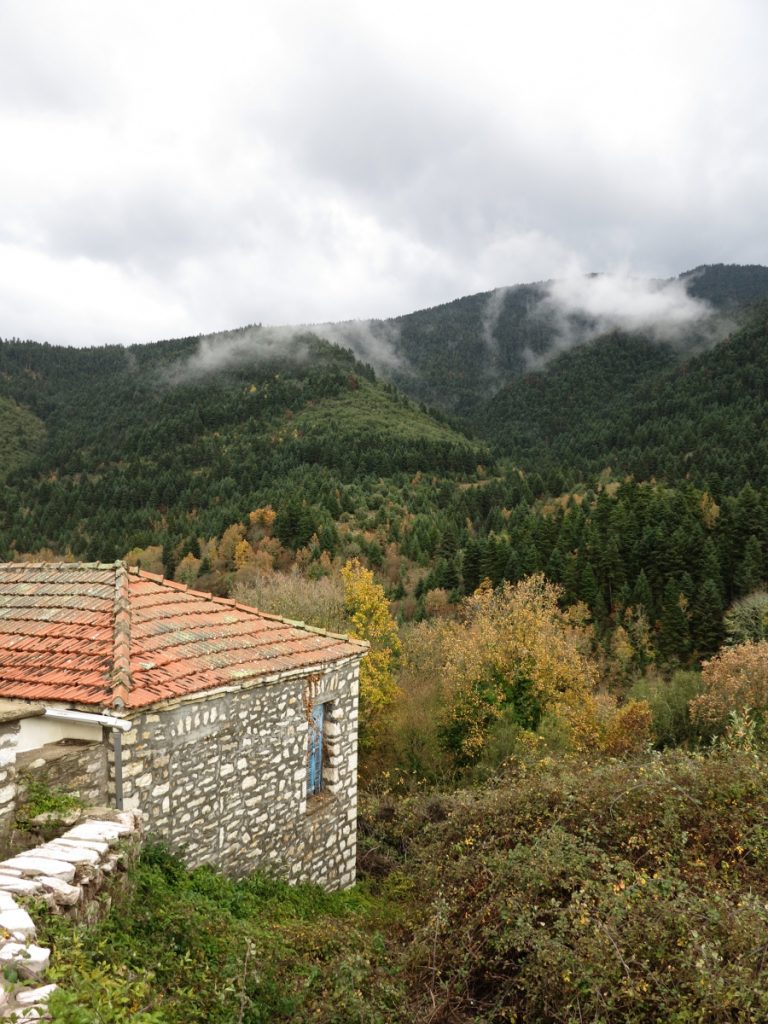 Παραδισακό σπίτι στο Κλαυσί Ευρυτανίας με θέα το δάσος
