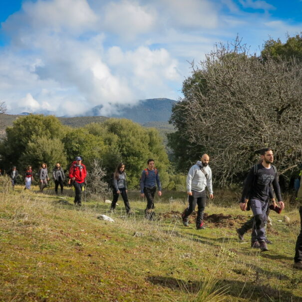λιμποβίσι αλωνισταινα