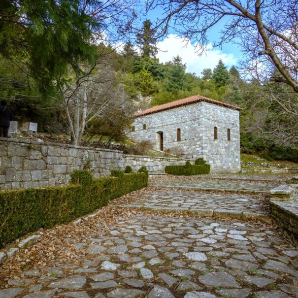 λιμποβίσι αλωνισταινα
