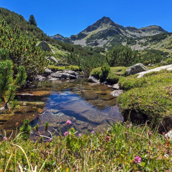 pirin-2